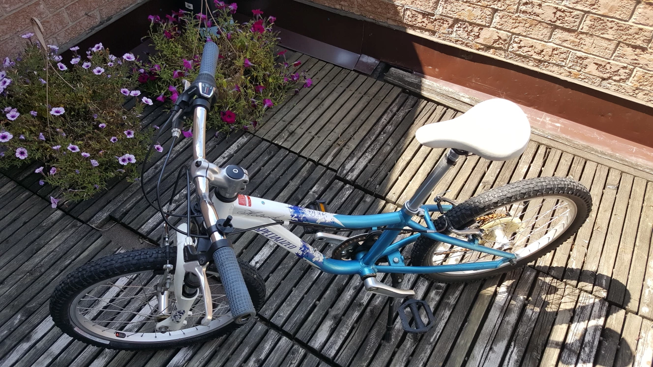 20" Mountain Bike image indicator(2)