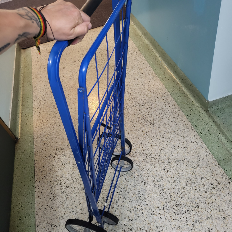 big shopping cart - photo 2