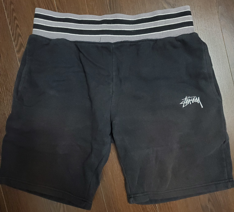 4 Mens Shorts (Stussy & other brands)