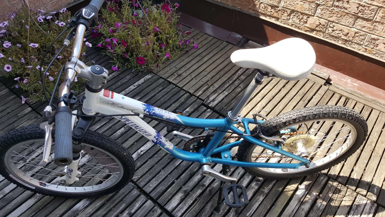 20" Mountain Bike image indicator(4)