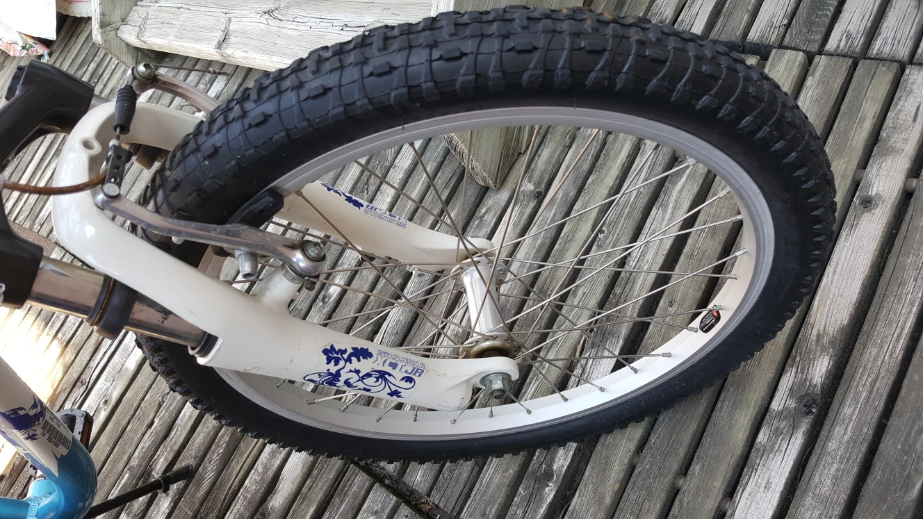 20" Mountain Bike image indicator(7)