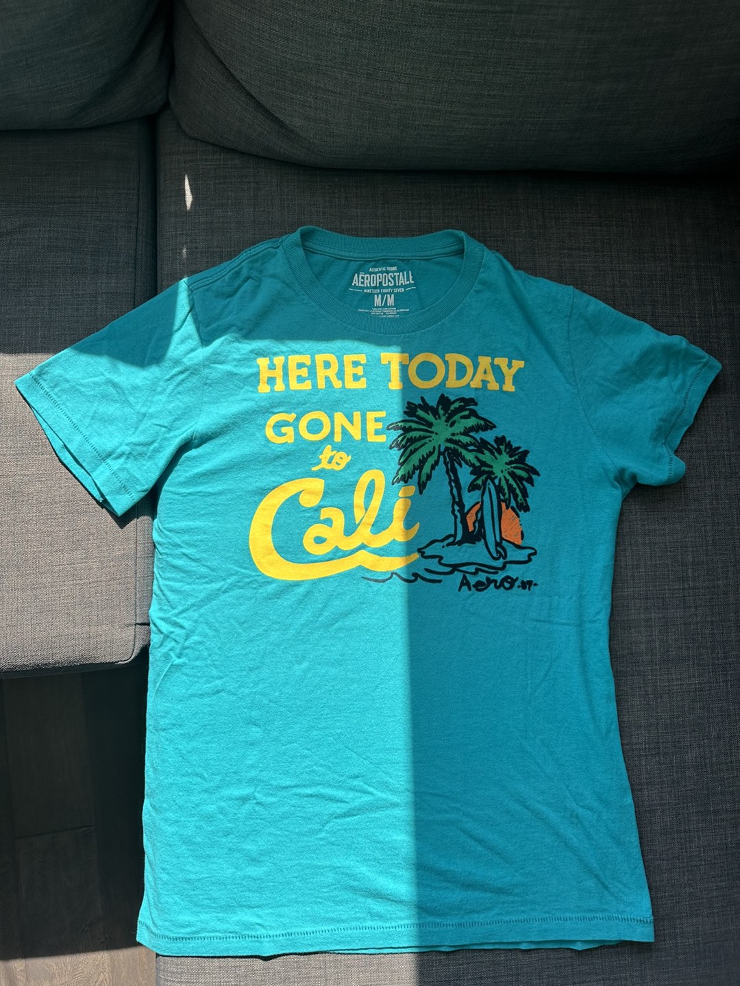 American Eagle Men's Beach Tee-Shirt 🥕 thumbnail