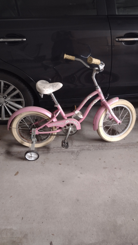 girls bike  image indicator(2)