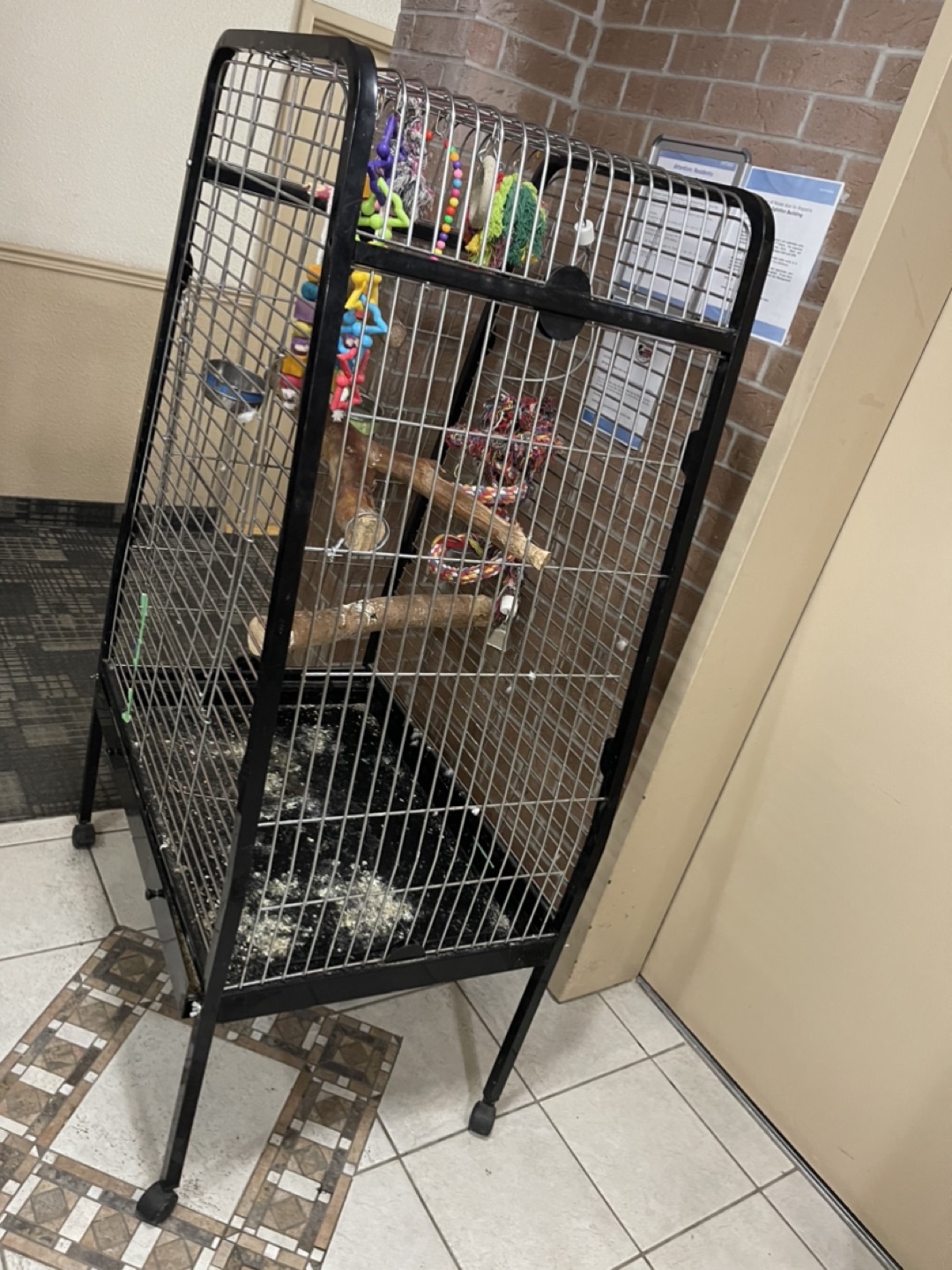 Xxl parrot cage image indicator(3)