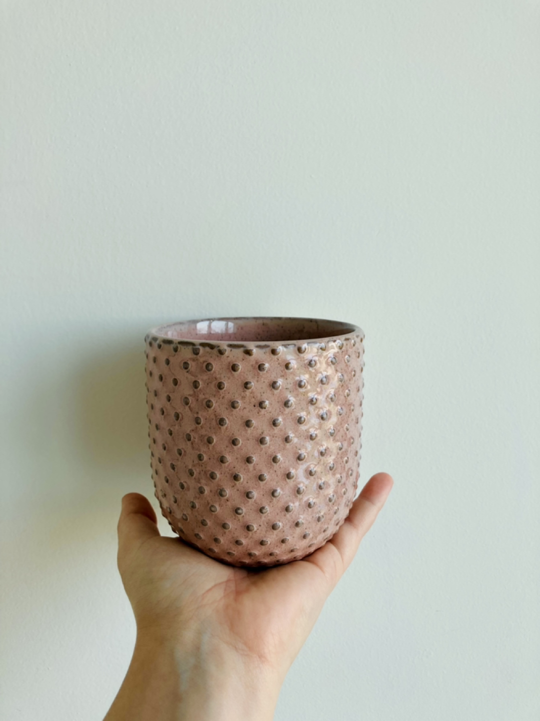 Small Pink Plant Pot