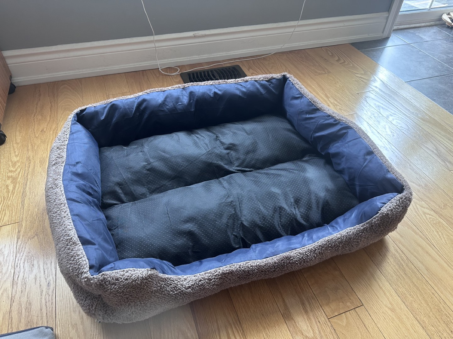 Dog bed 💰