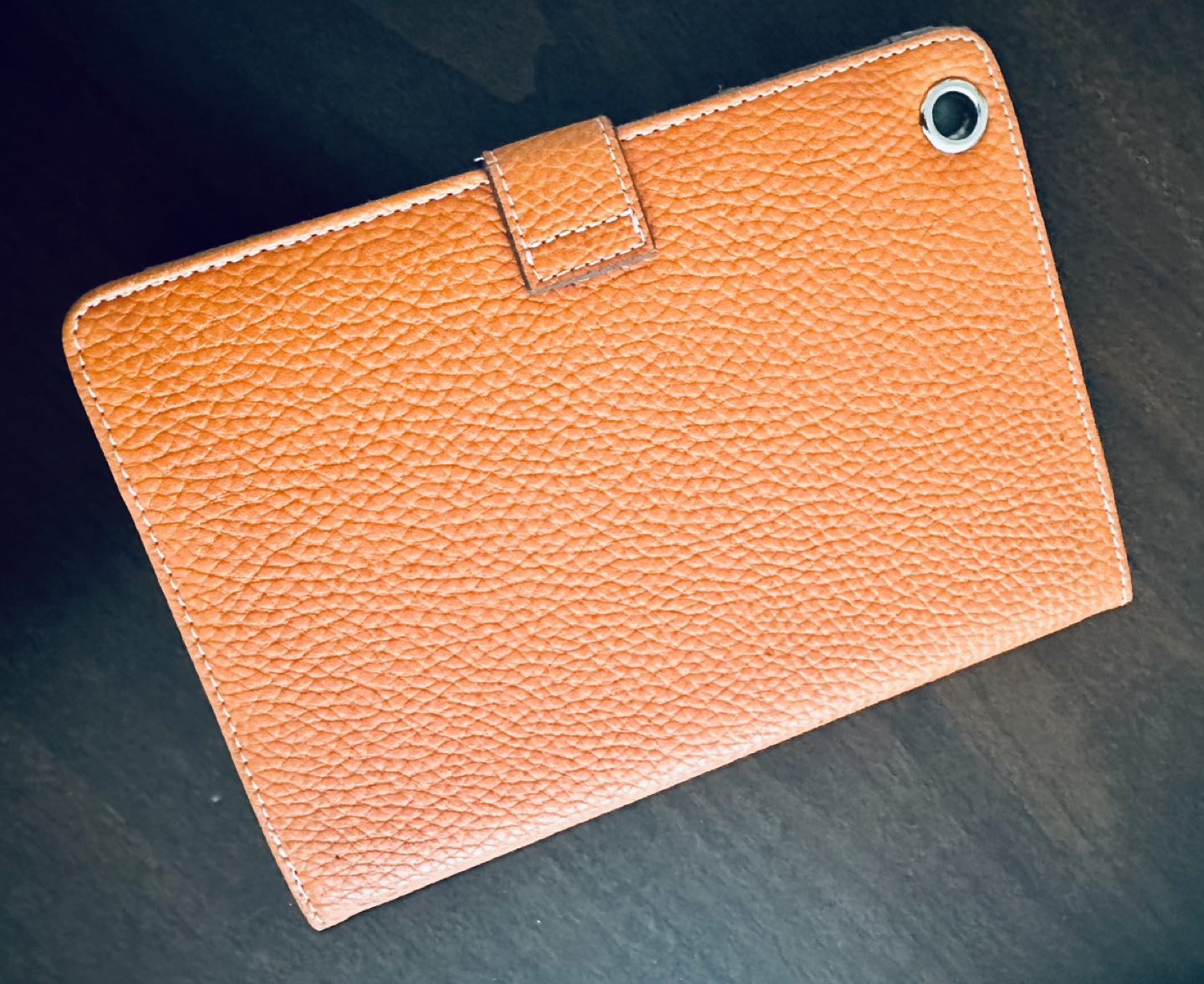 Older i Pad mini with cover and carry case - photo 3