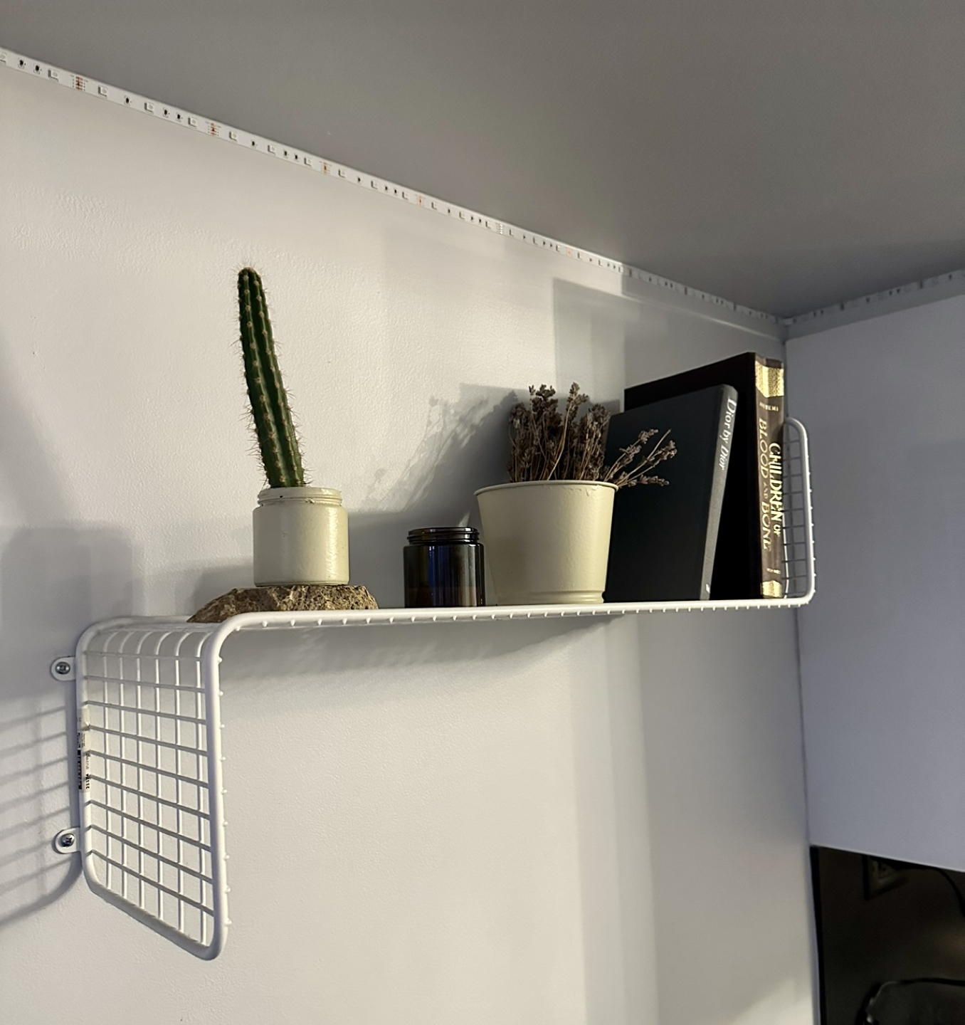 2 shelves for $10 thumbnail