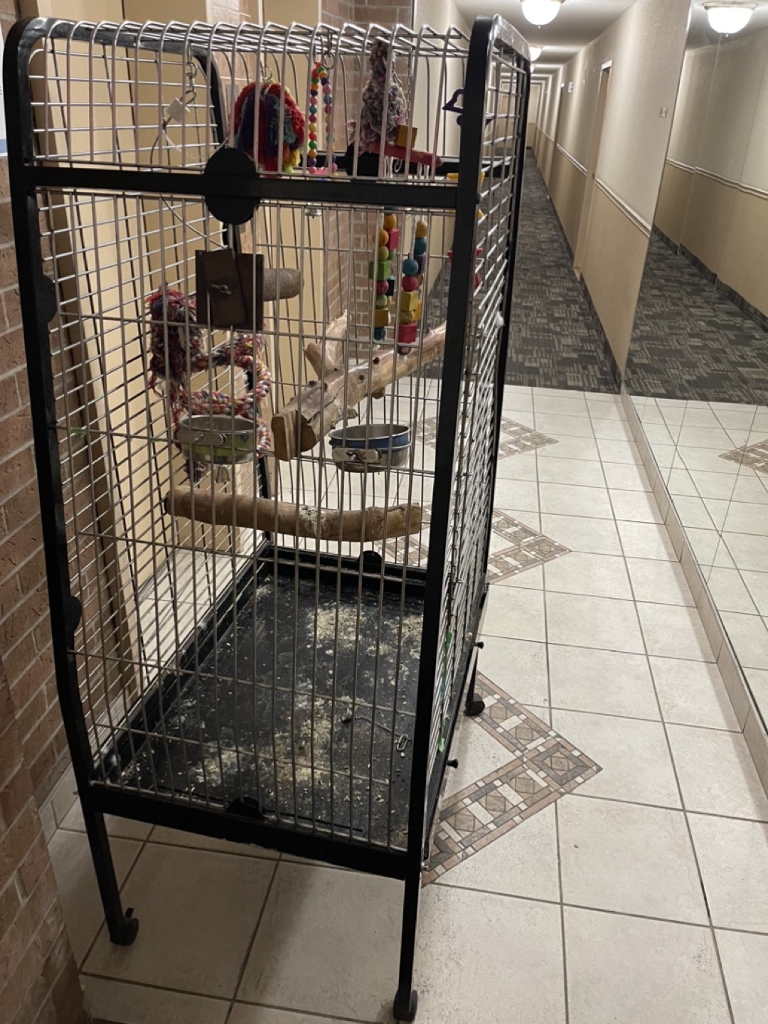 Xxl parrot cage thumbnail