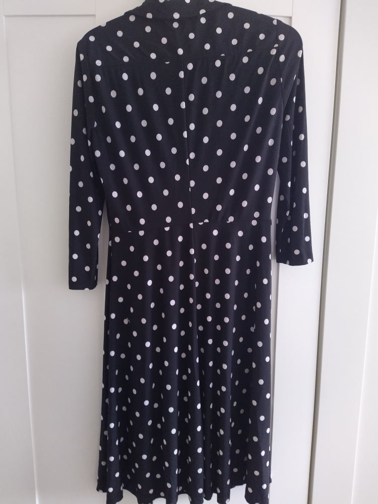 Polka dot dress image indicator(3)