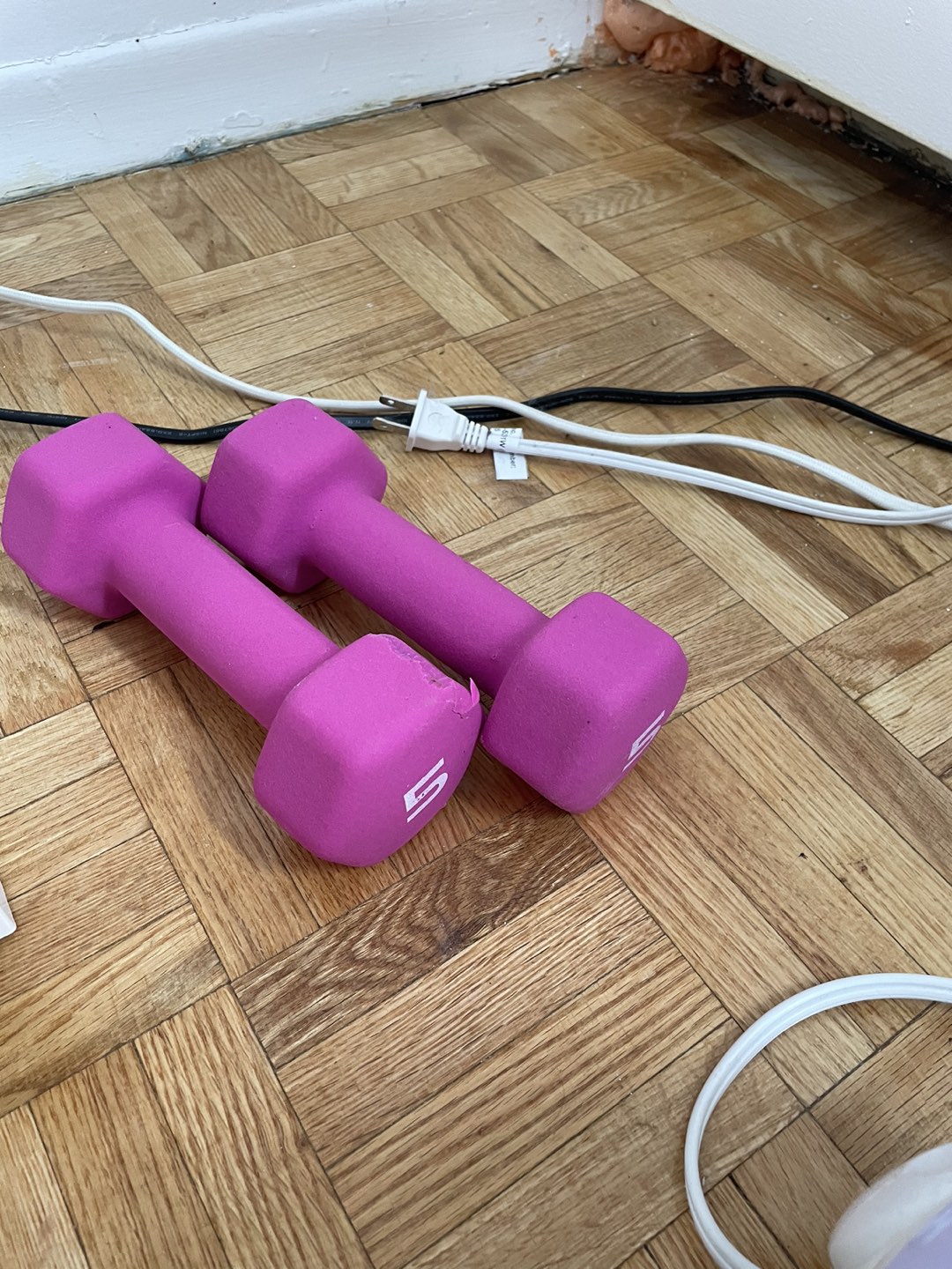 2 Dumbbells 5 lbs each Neoprene $20 thumbnail