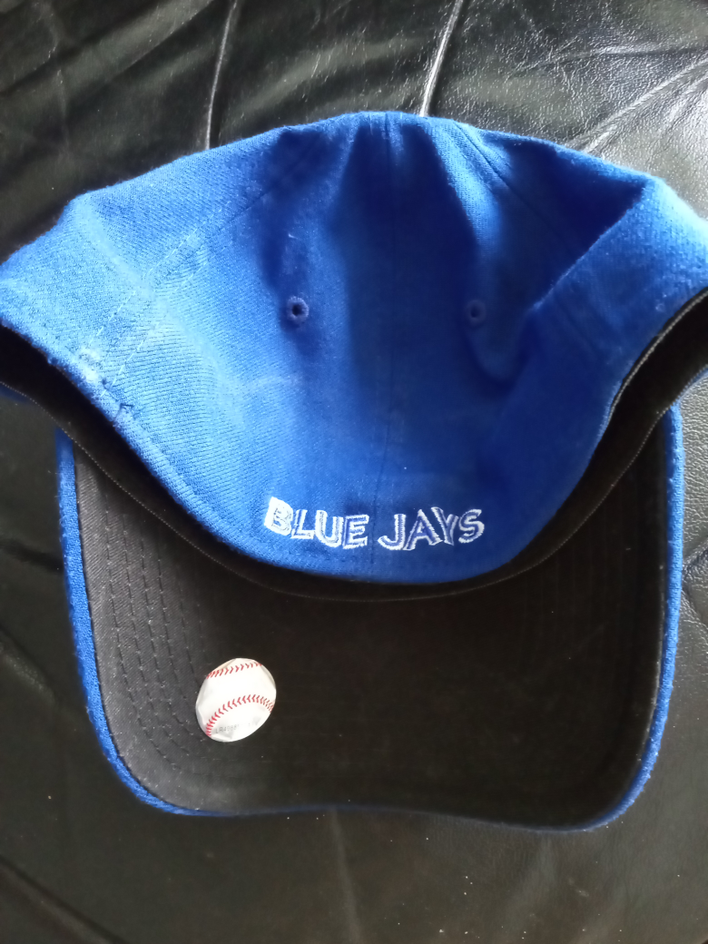 Blue Jays baseball hat image indicator(2)