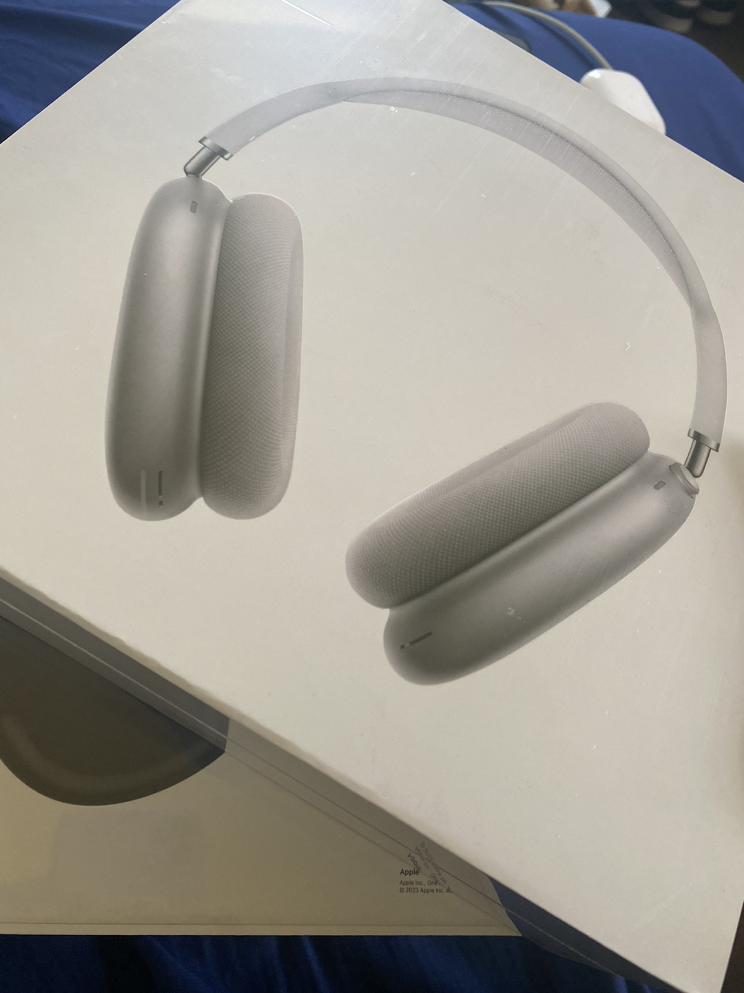 Apple Airpods Pro - Silver