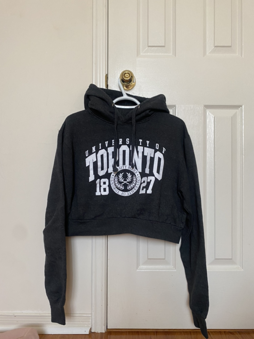 Cropped uoft hoodie thumbnail