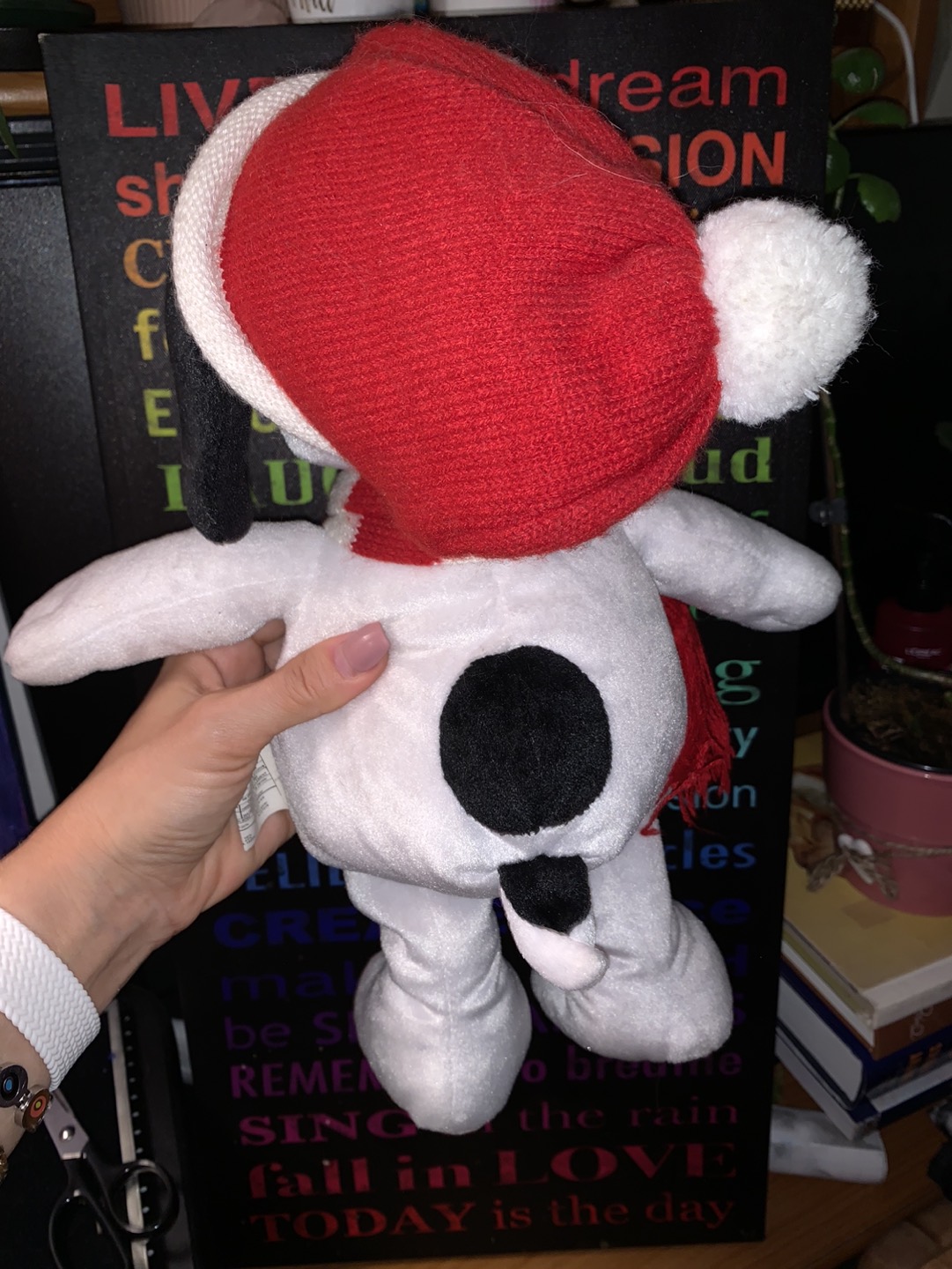 💰Snoopy is looking for a new friend! Plush toy image indicator(3)