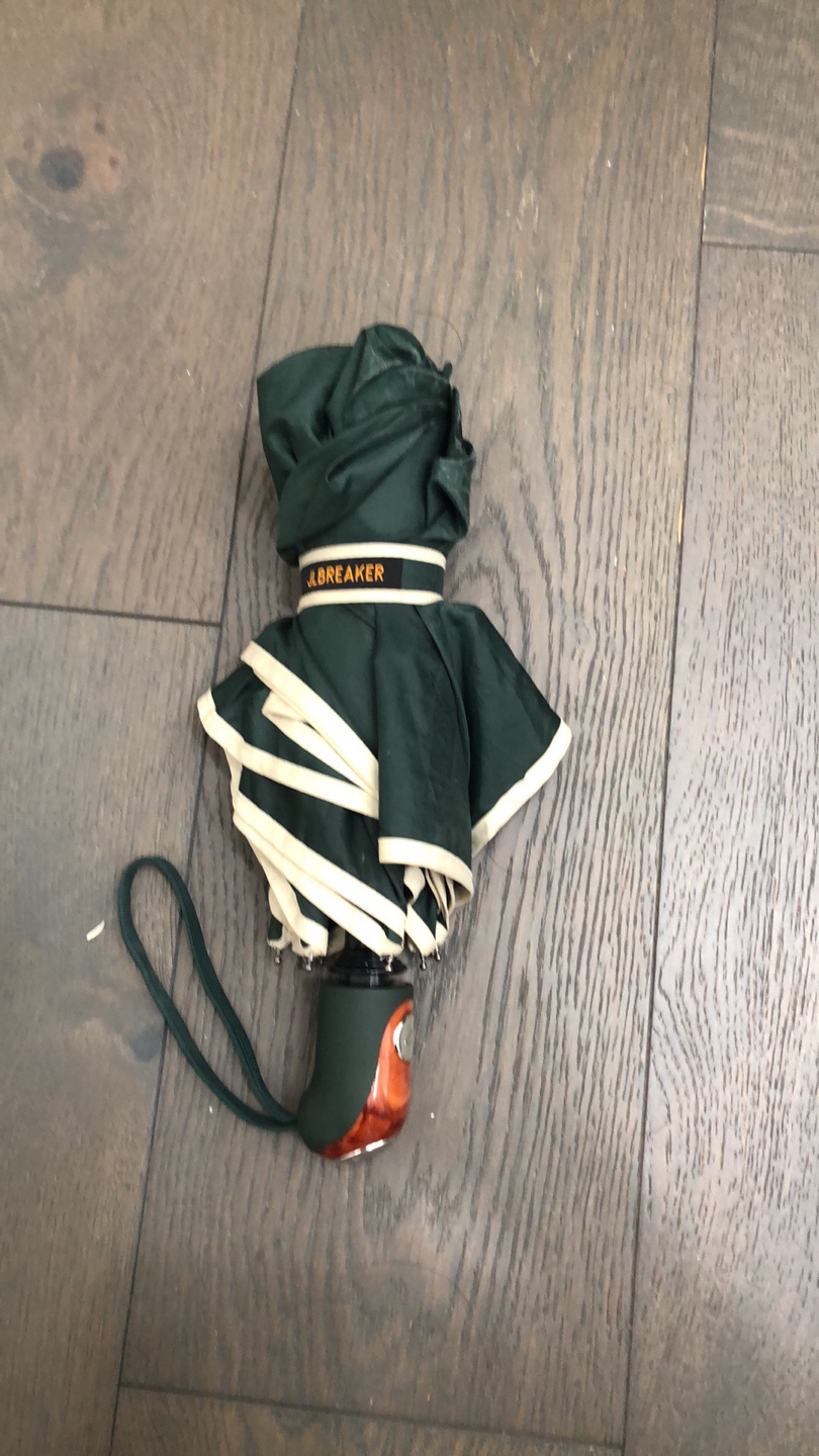 Windproof Umbrella