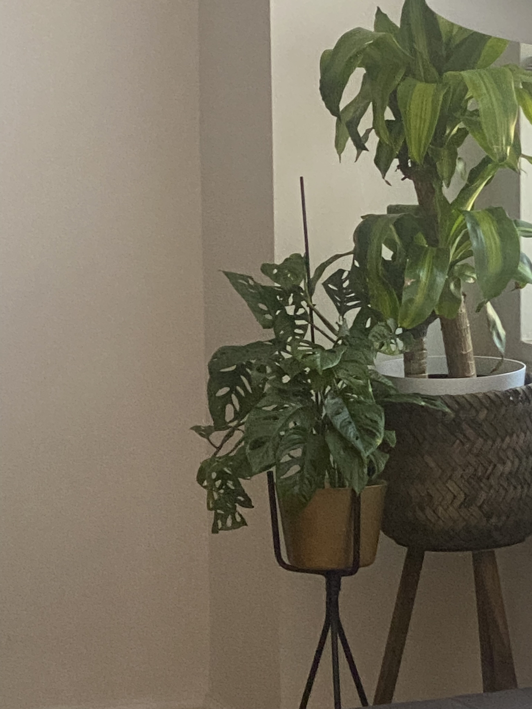 Decorative standing Planters