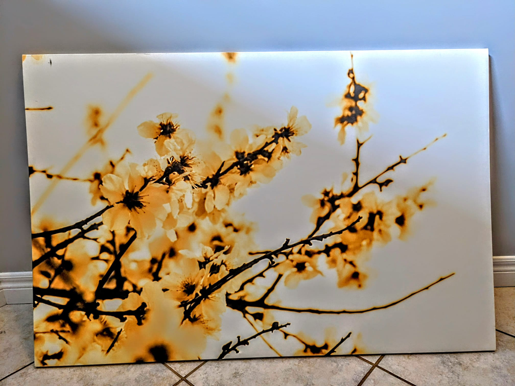 Flower Wall art thumbnail