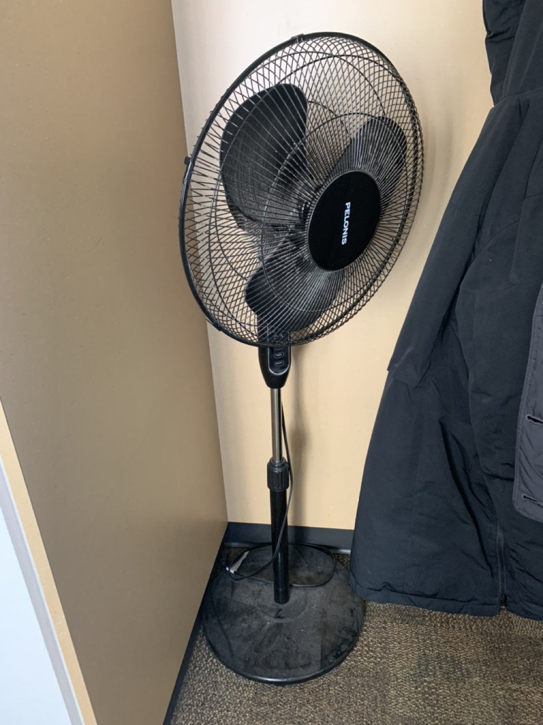 Large fan