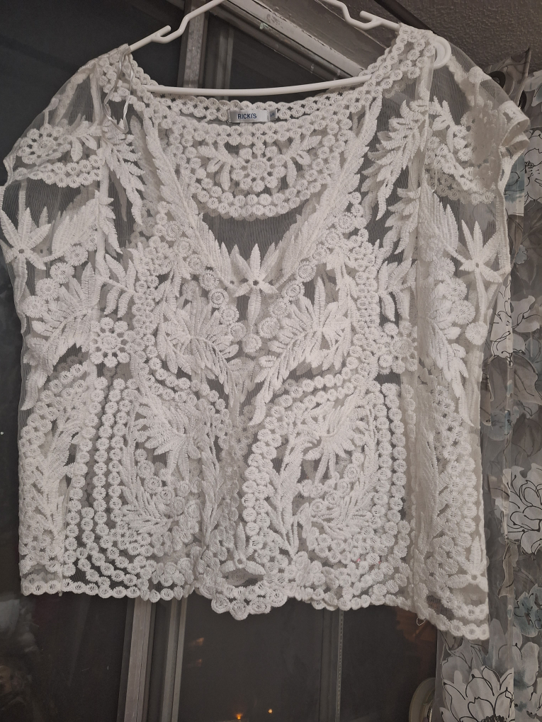 ✨️sale ✨️Embroidered blouse thumbnail