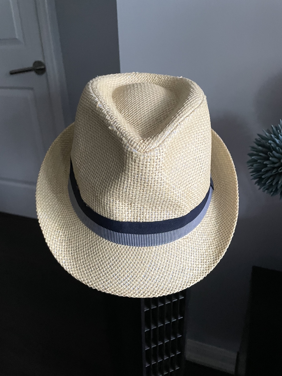 Fedora Hat thumbnail