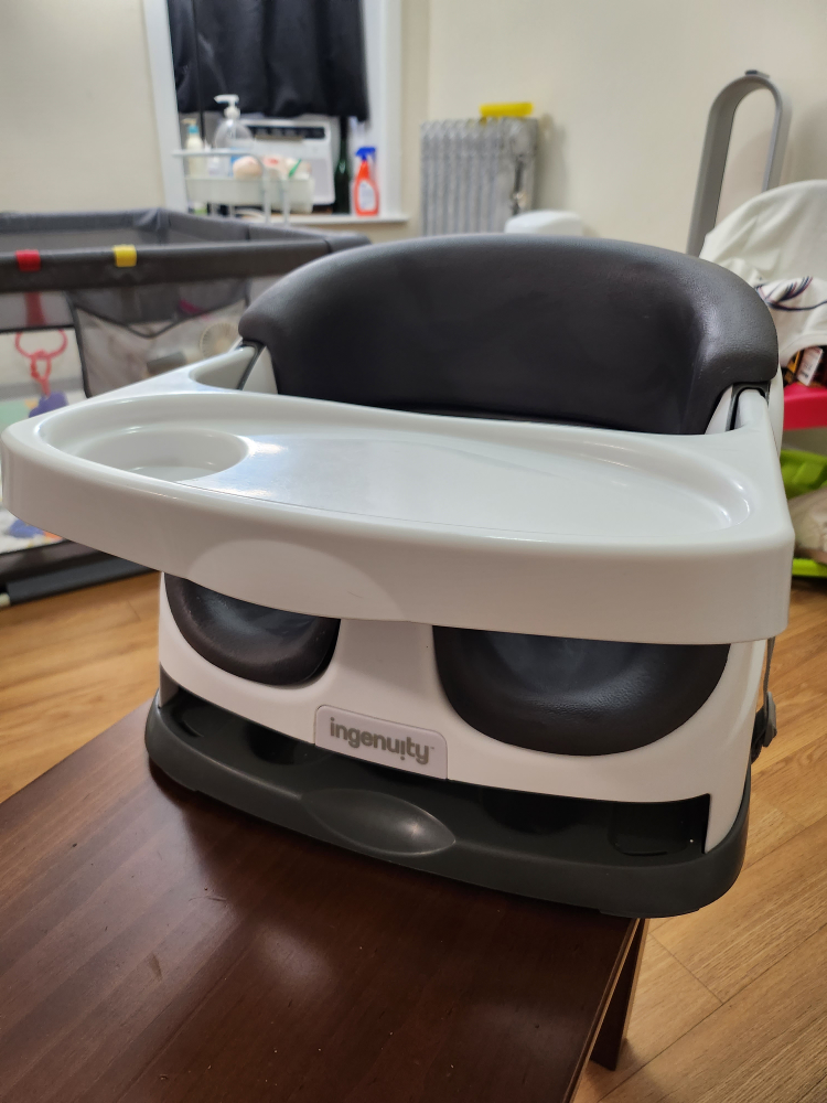 Ingenuity Booster Seat