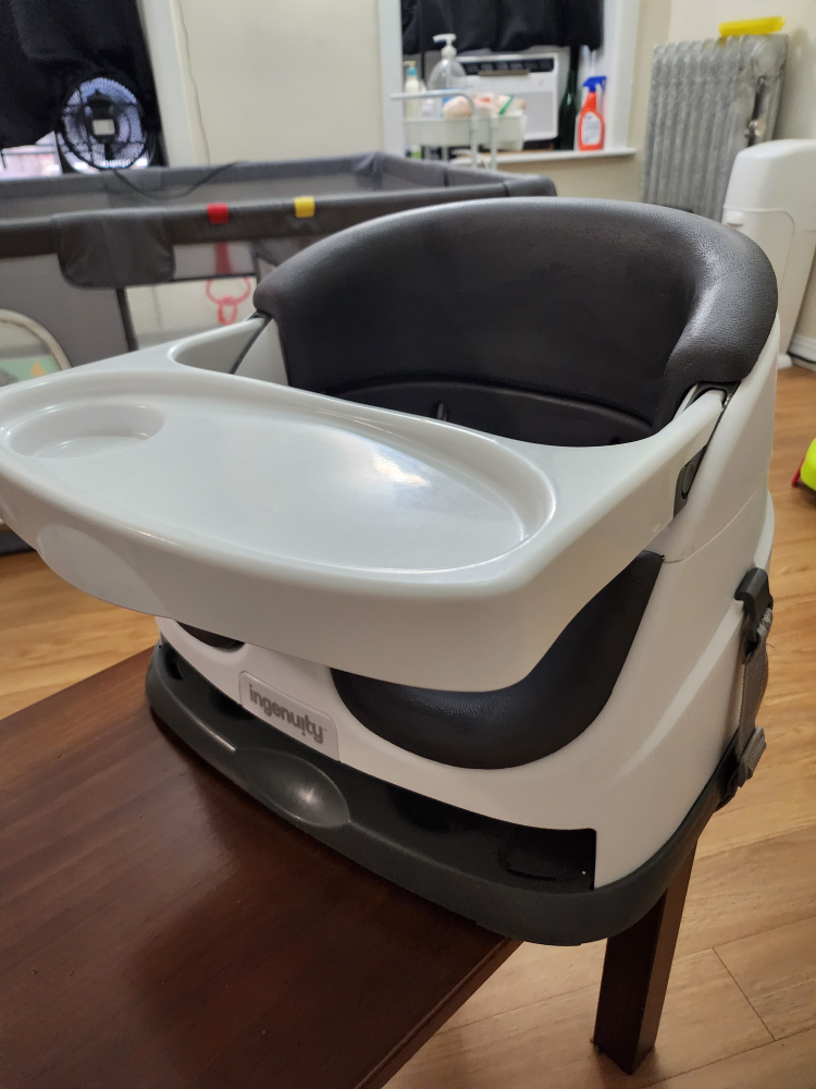 Ingenuity Booster Seat - photo 2