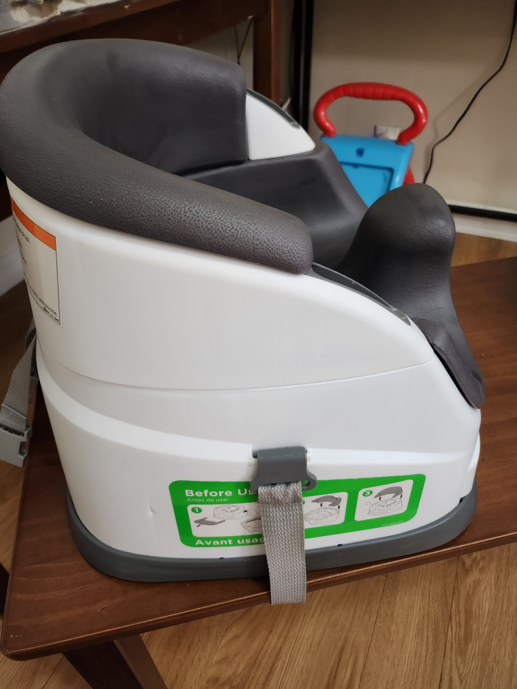 Ingenuity Booster Seat - photo 5