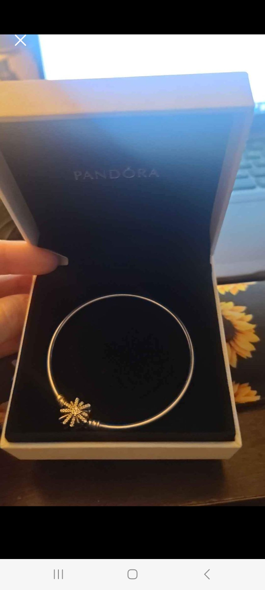 Pandora Bracelet image indicator(2)