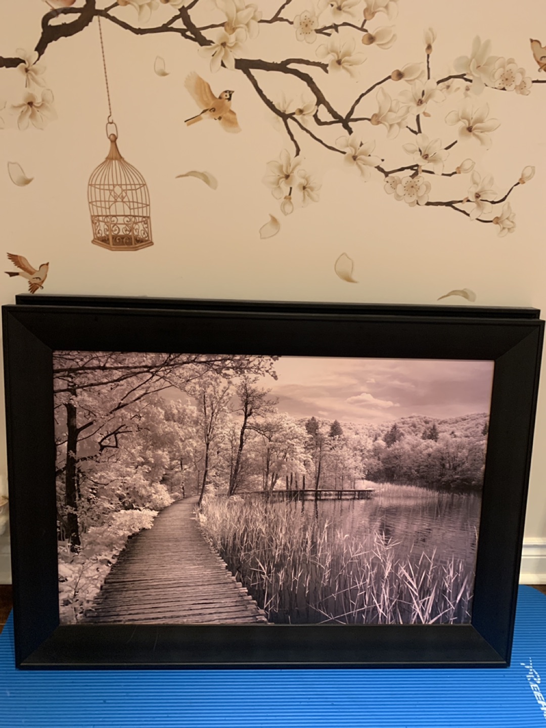 Two beautiful Picture and Frames image indicator(3)