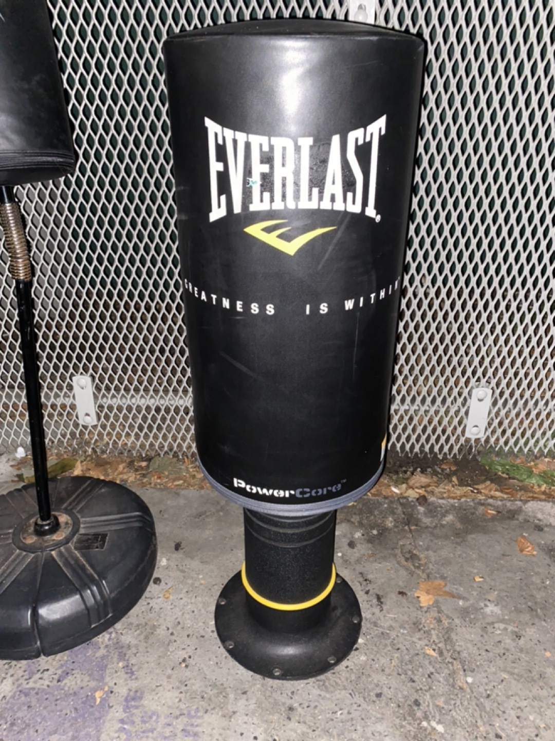 Everlast Unisex Power Core Freestanding Punch Bag