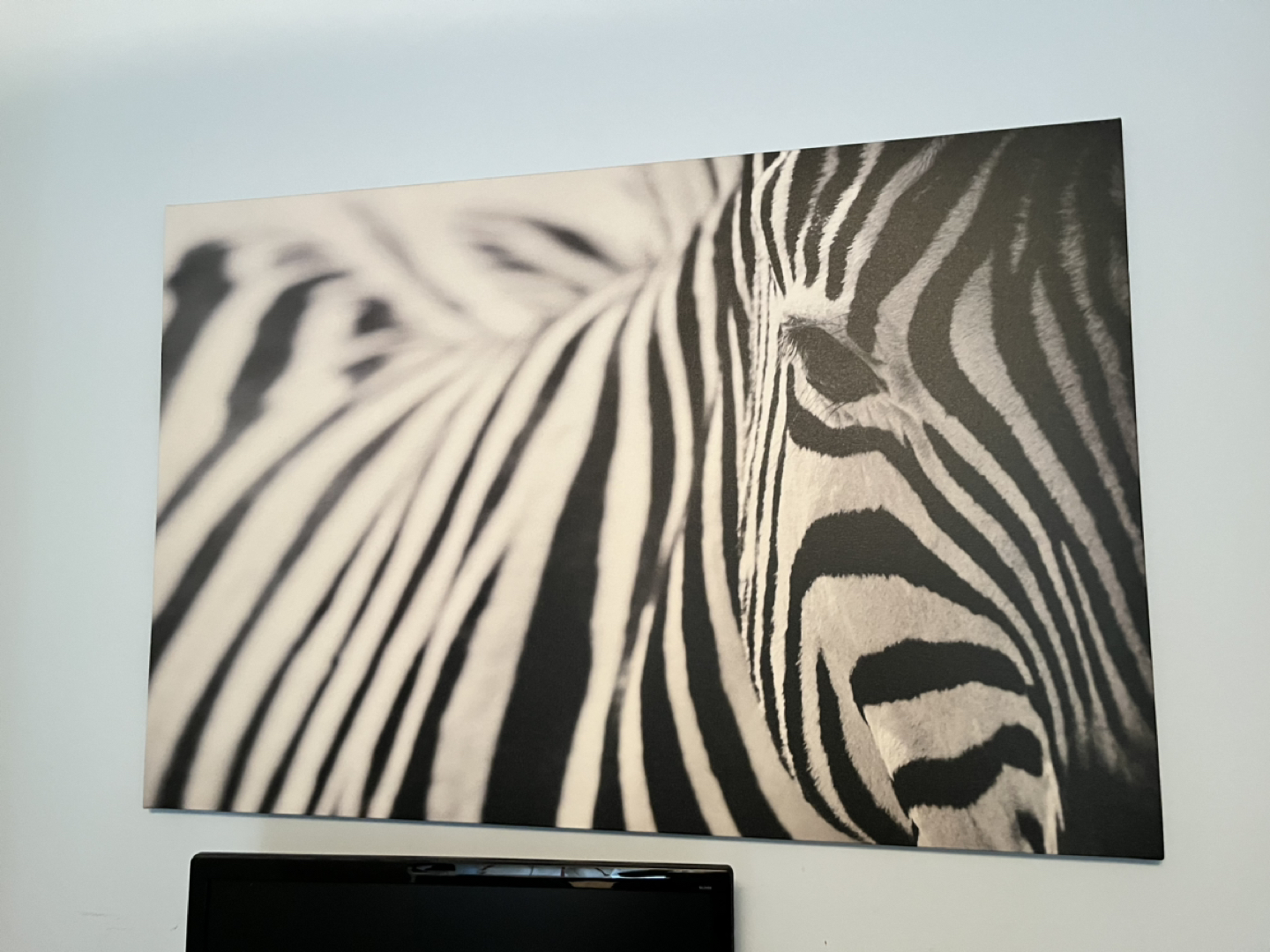 Zebra painting thumbnail