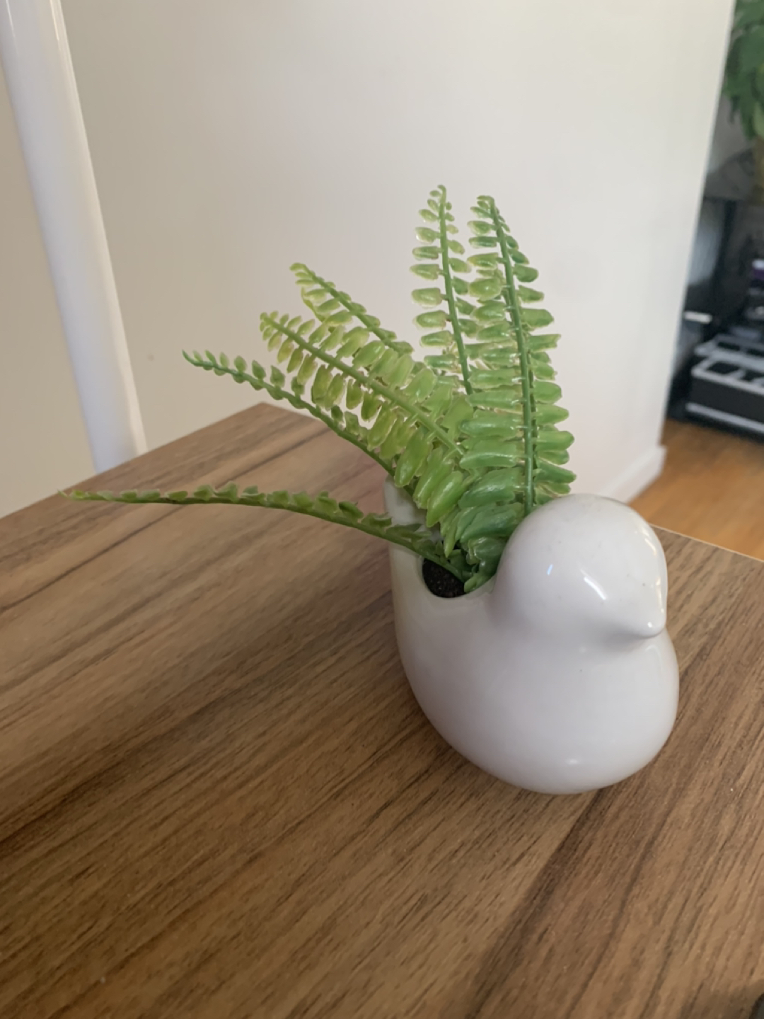 Fake plant in bird planter - Free! #freecycle image indicator(3)