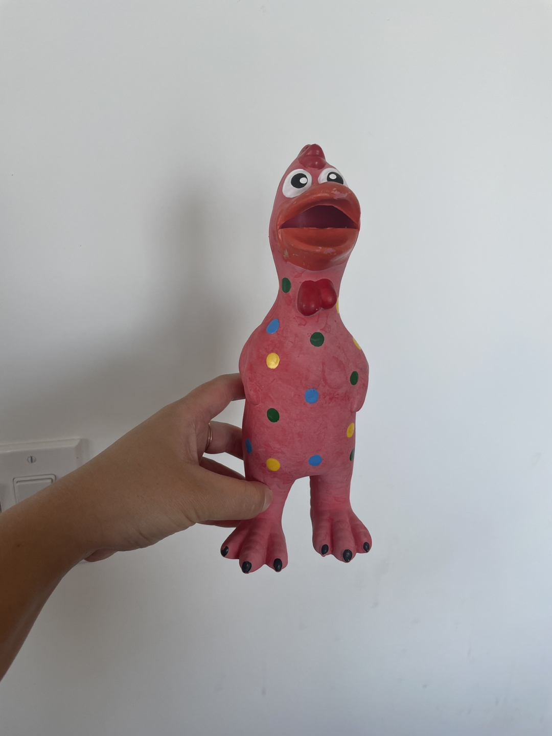 Pet Toy thumbnail