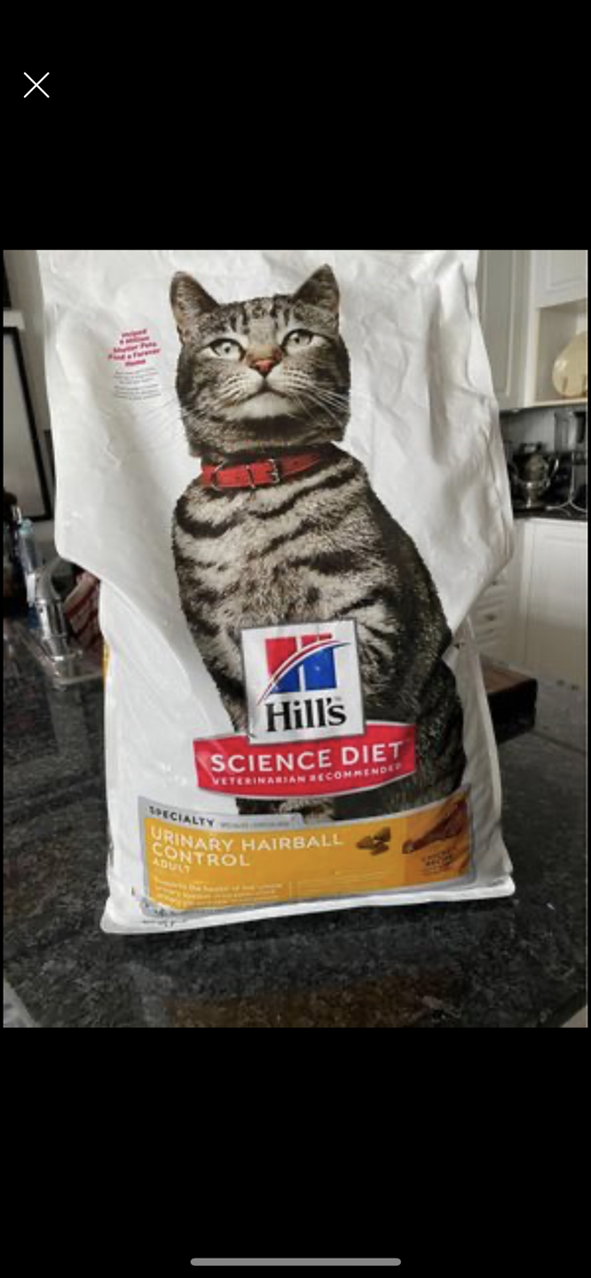 Cat food with container. thumbnail
