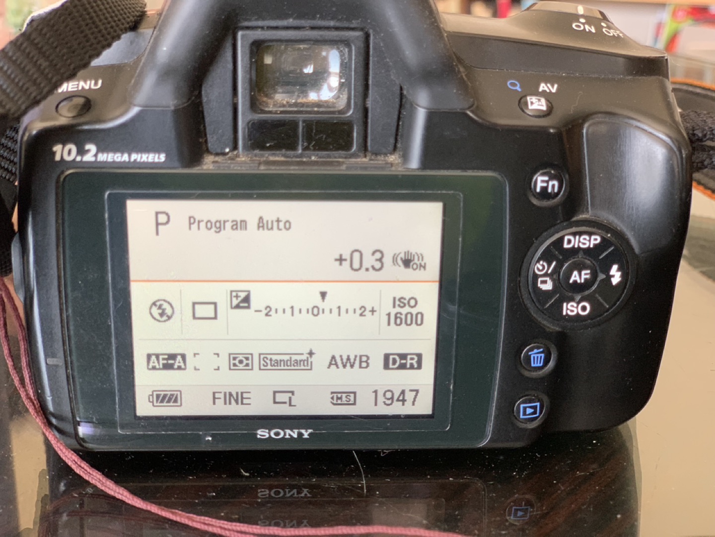 Sony Camera image indicator(2)