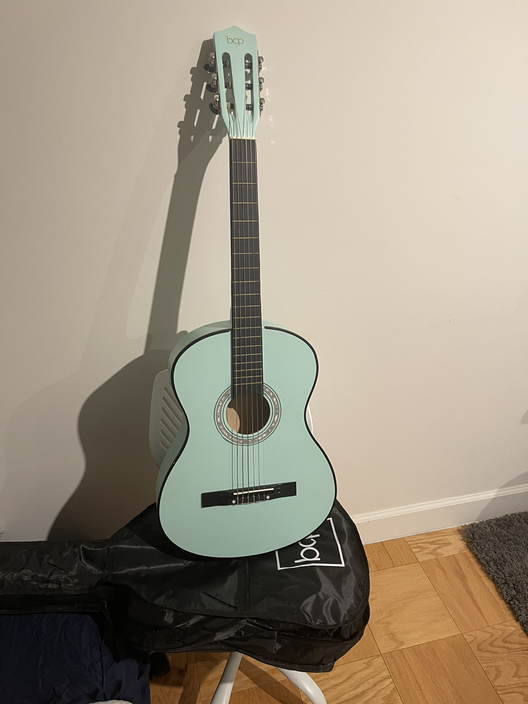 guitar w/ bag, tuner and capo