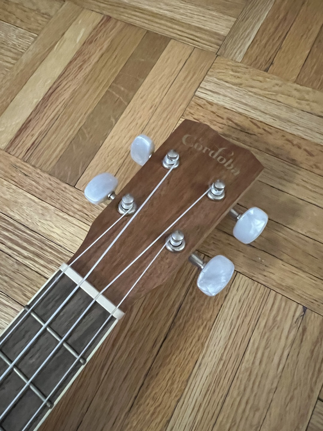Cordoba Ukulele 15cm - photo 3