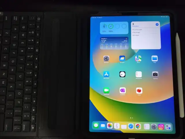 NEED GONE - iPad Pro 11" Cellular 512gb