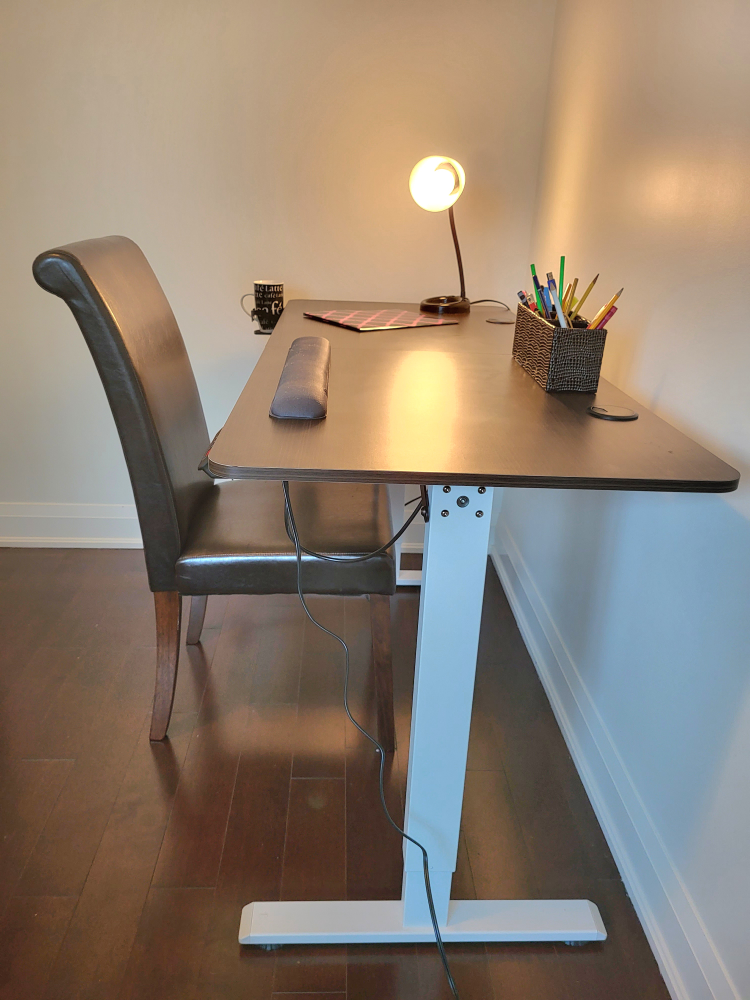 Motion Gray Electric Standing Desk