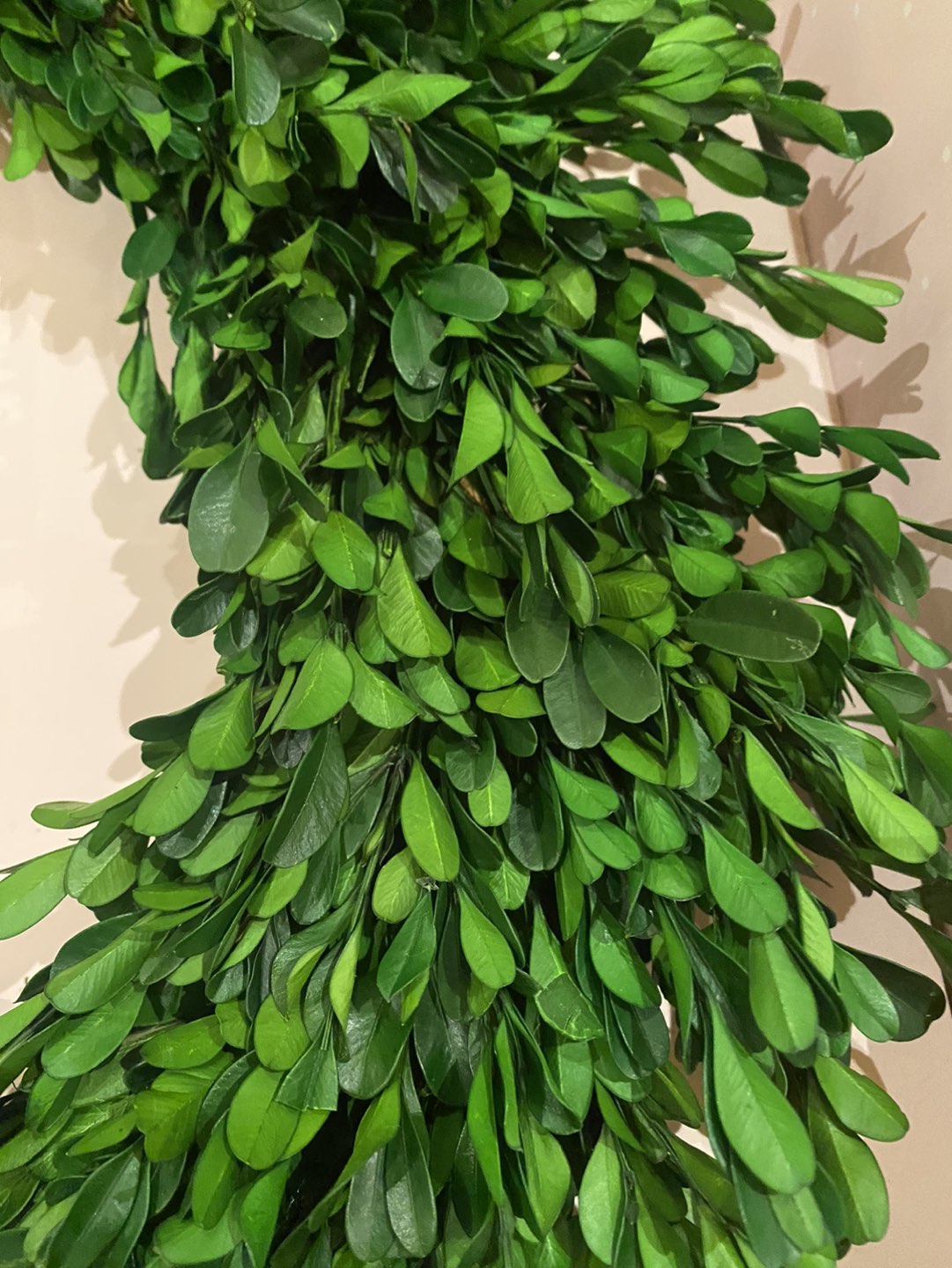 Preserved Boxwood Wreath - photo 4