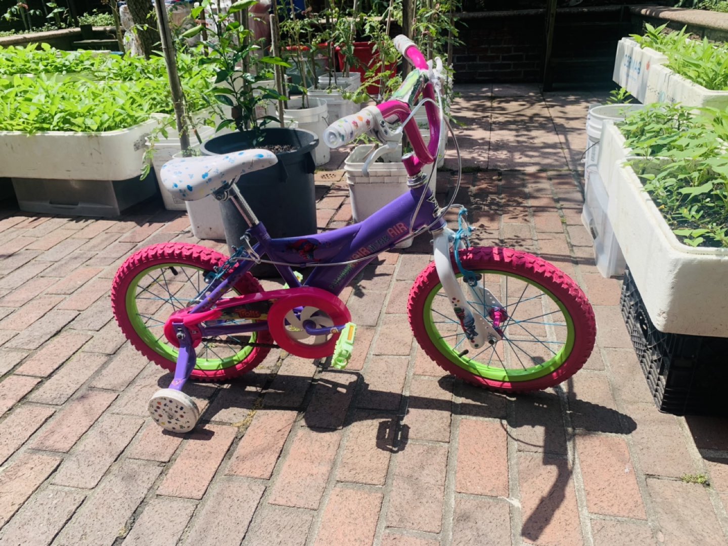 Kids bike image indicator(2)