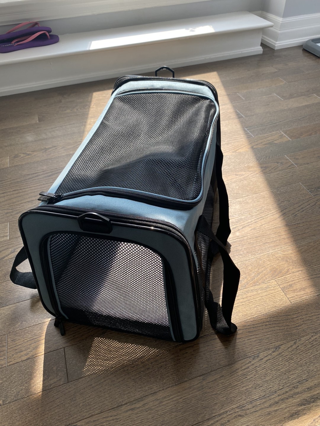 Pet Carrier thumbnail