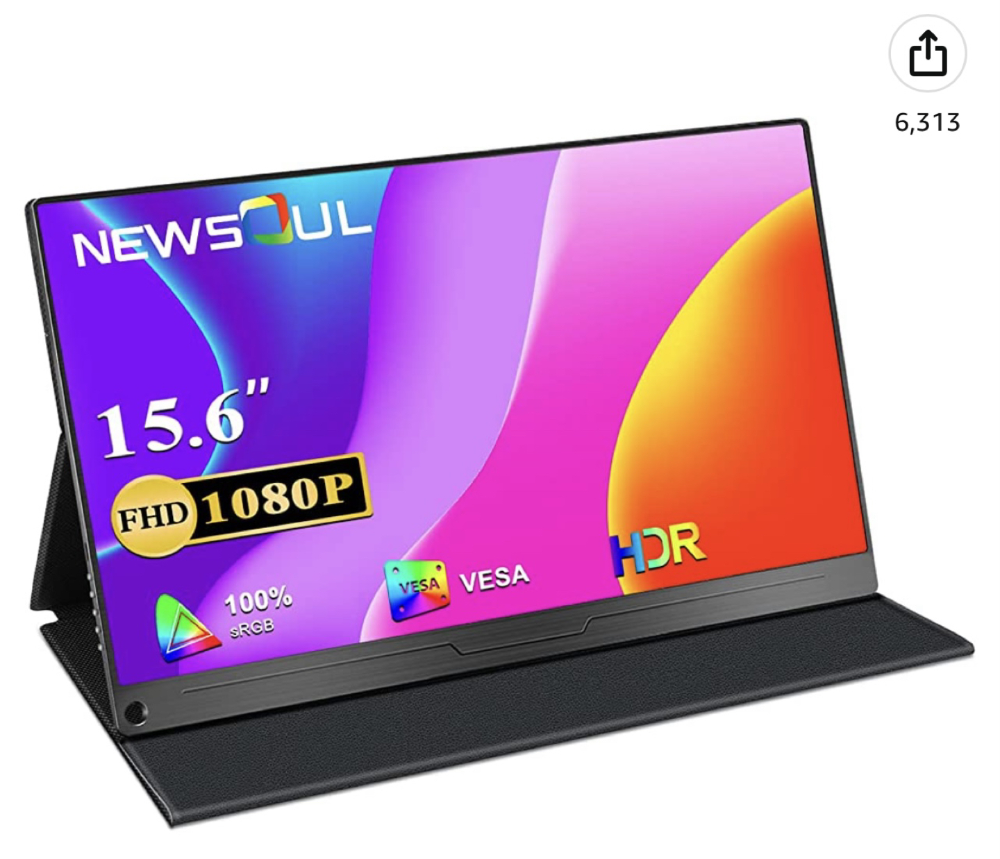Portable Monitor
