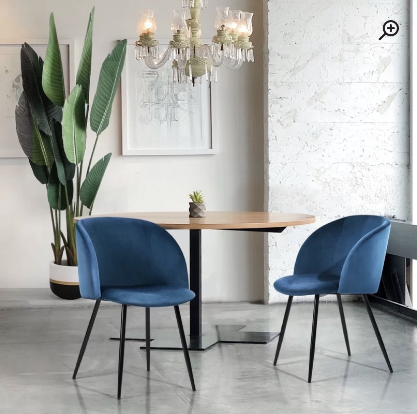 Velvet Royal blue chairs