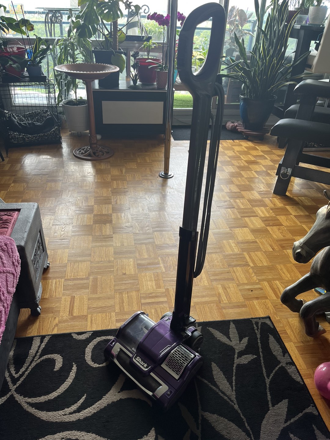 Shark Vacuum good working order thumbnail