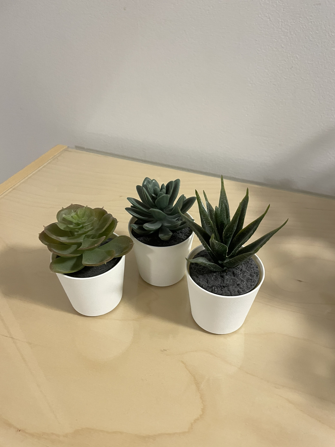 IKEA plants - photo 4