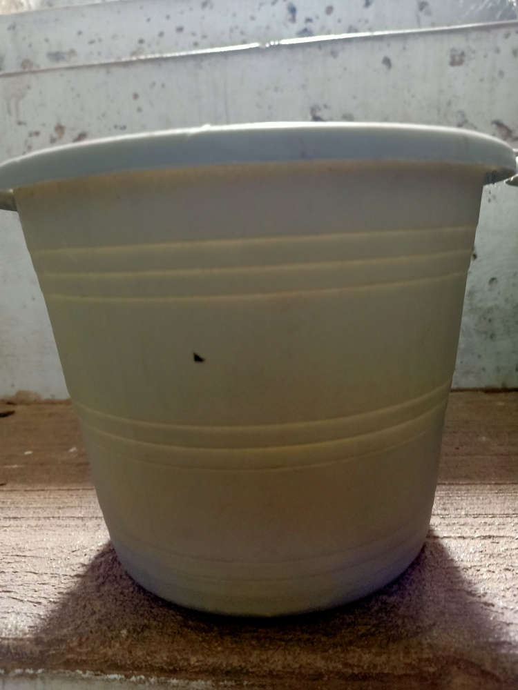 Free 5 pots #freecycle