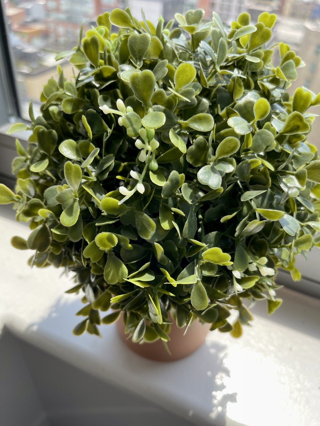 Brand New Faux Boxwood Topiary/Artificial Plant