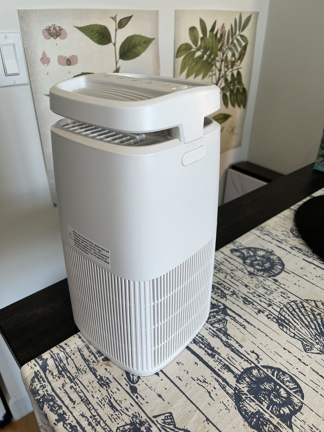 air ionizer / purifier (brand: pomoron)